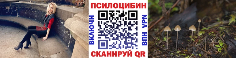 Галлюциногенные грибы Psilocybine cubensis магазин продажи наркотиков Приволжск